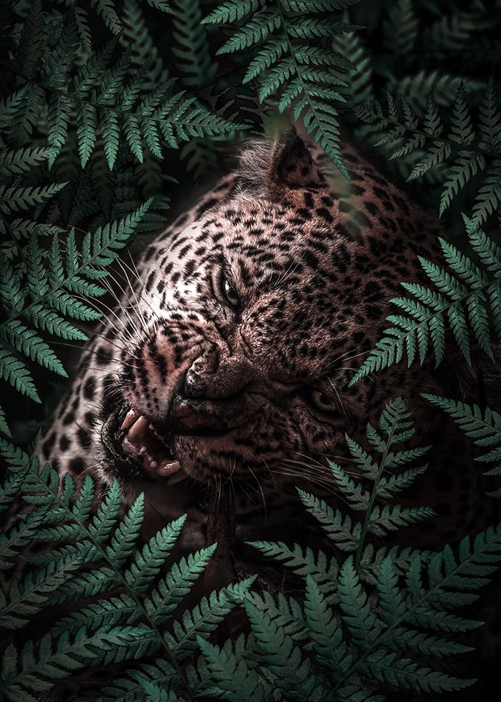 Leopard In Ferns art print by Al Barizi for $57.95 CAD