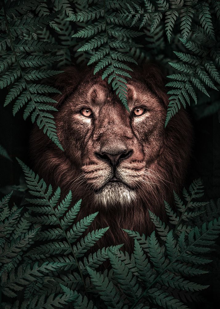 The Lion King art print by Al Barizi for $57.95 CAD