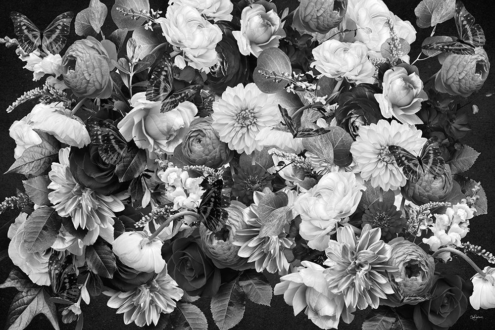 Evening Wal Black A White art print by Sue Skellern for $57.95 CAD