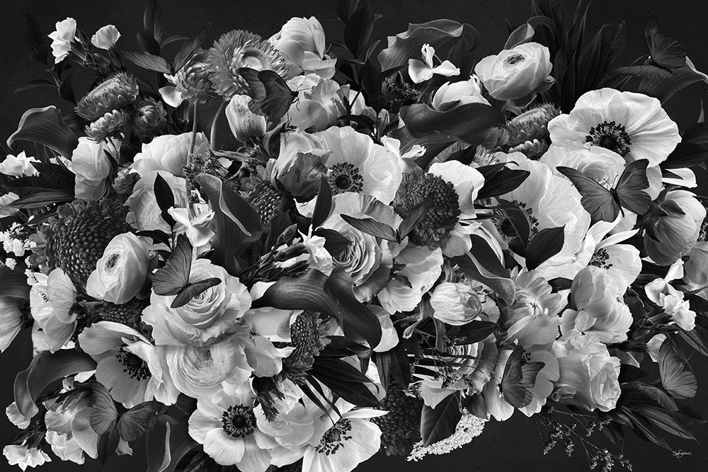 Rubys Dream Black A White art print by Sue Skellern for $57.95 CAD