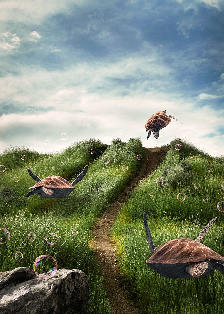 Turtles In The Green Fields art print by Al Barizi for $57.95 CAD