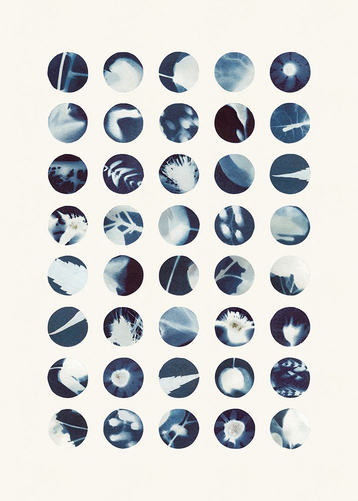 Botanical Cyanotypes art print by Alisa Galitsyna for $57.95 CAD