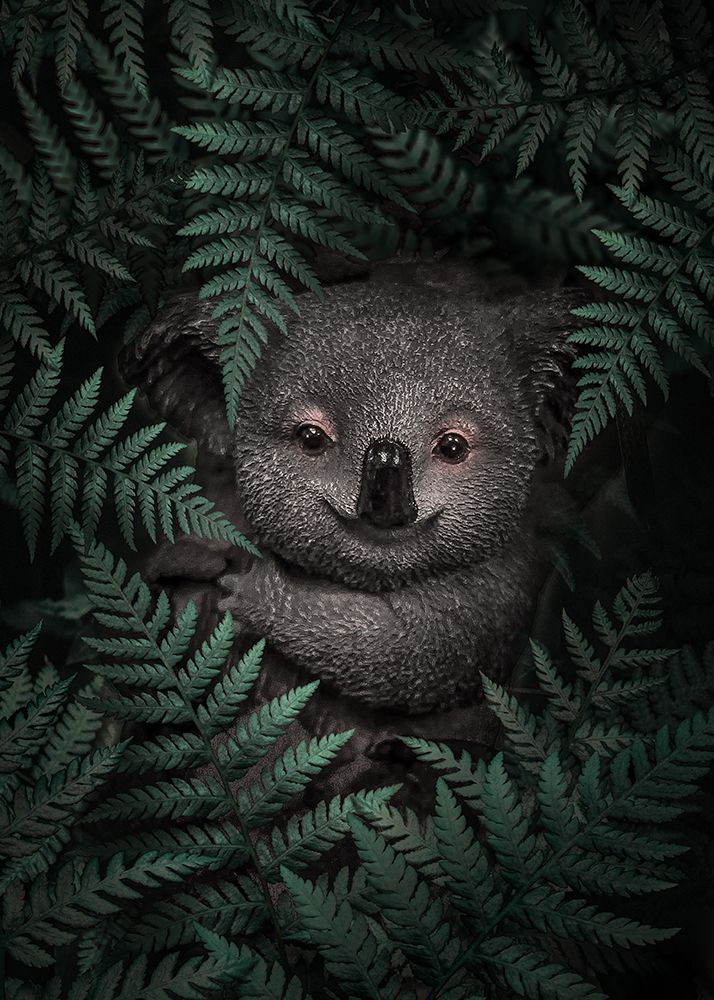 Cute Baby Koala art print by Al Barizi for $57.95 CAD