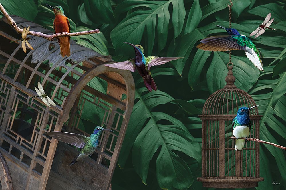 Tropical Hummingbirds art print by Sue Skellern for $57.95 CAD
