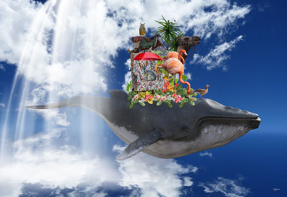 Floppy The Whale art print by Sue Skellern for $57.95 CAD