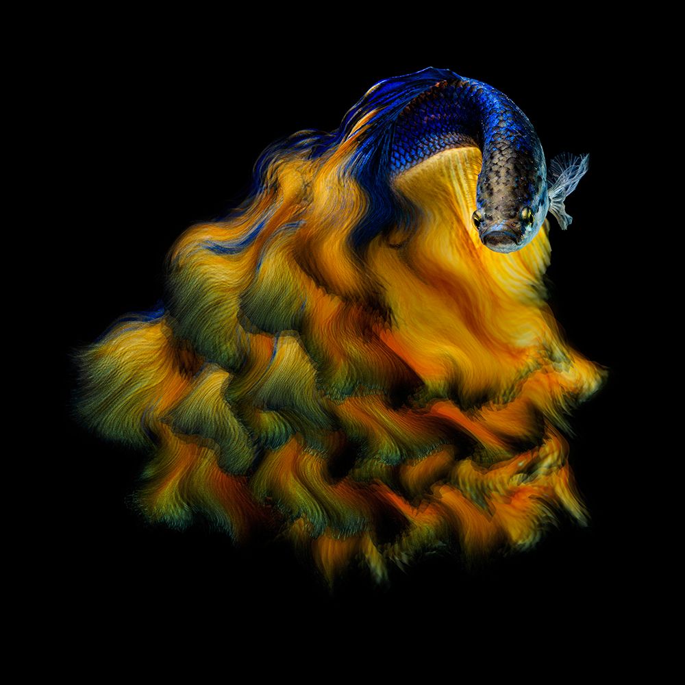 Yellow Dress art print by Andi Halil for $57.95 CAD