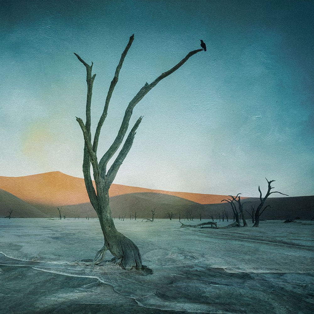 Deadvlei art print by Willa Wei for $57.95 CAD