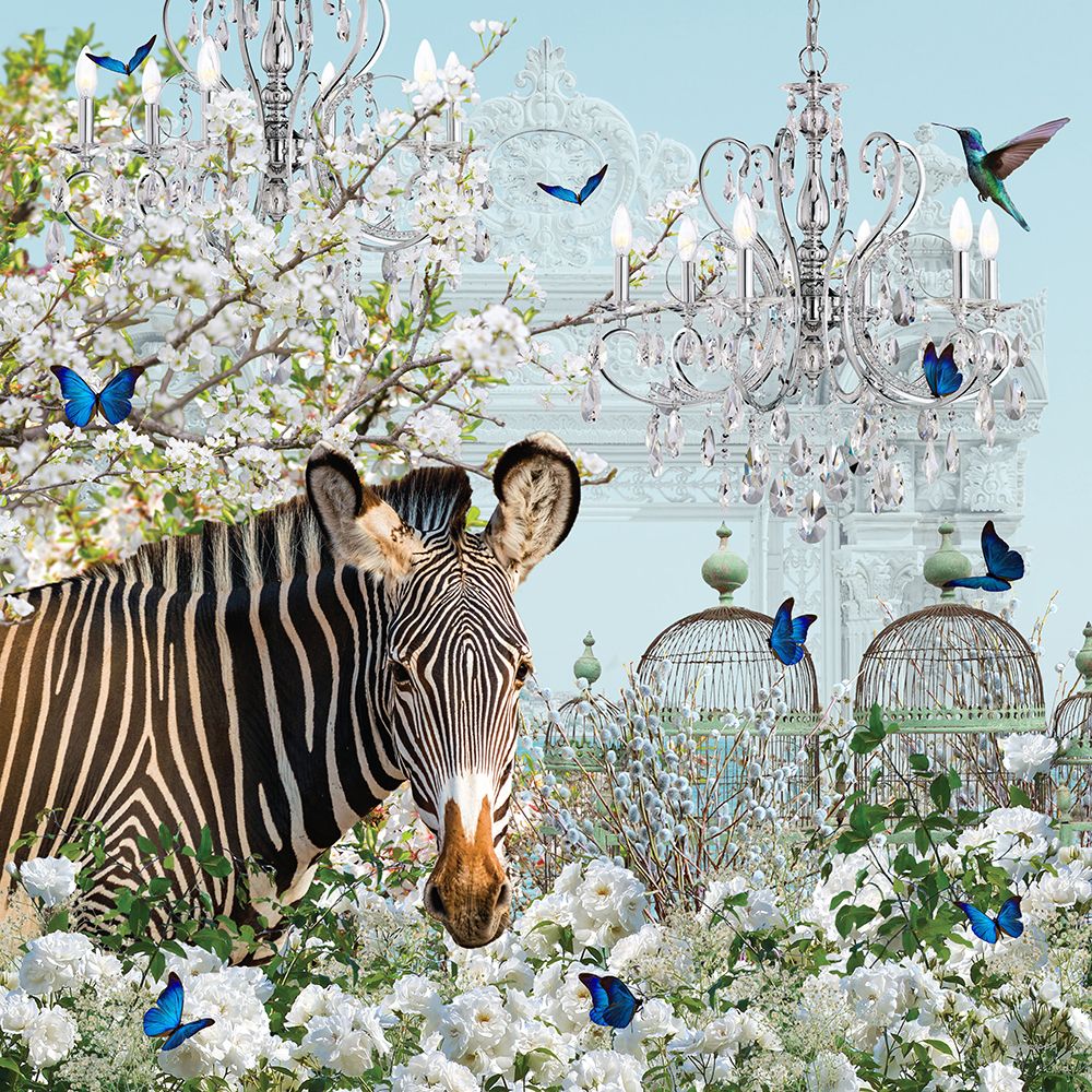 Zebra Dreams art print by Sue Skellern for $57.95 CAD