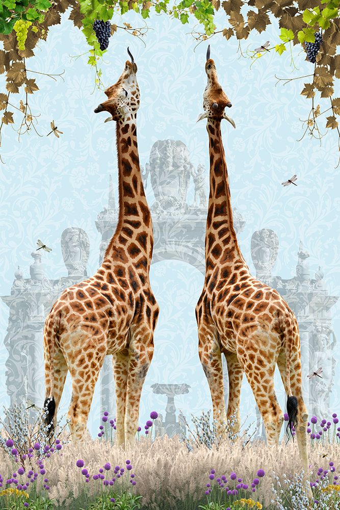 Giraffes Enjoying Grapes art print by Sue Skellern for $57.95 CAD