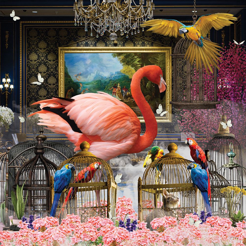 Flamingo Blue A Parrots art print by Sue Skellern for $57.95 CAD