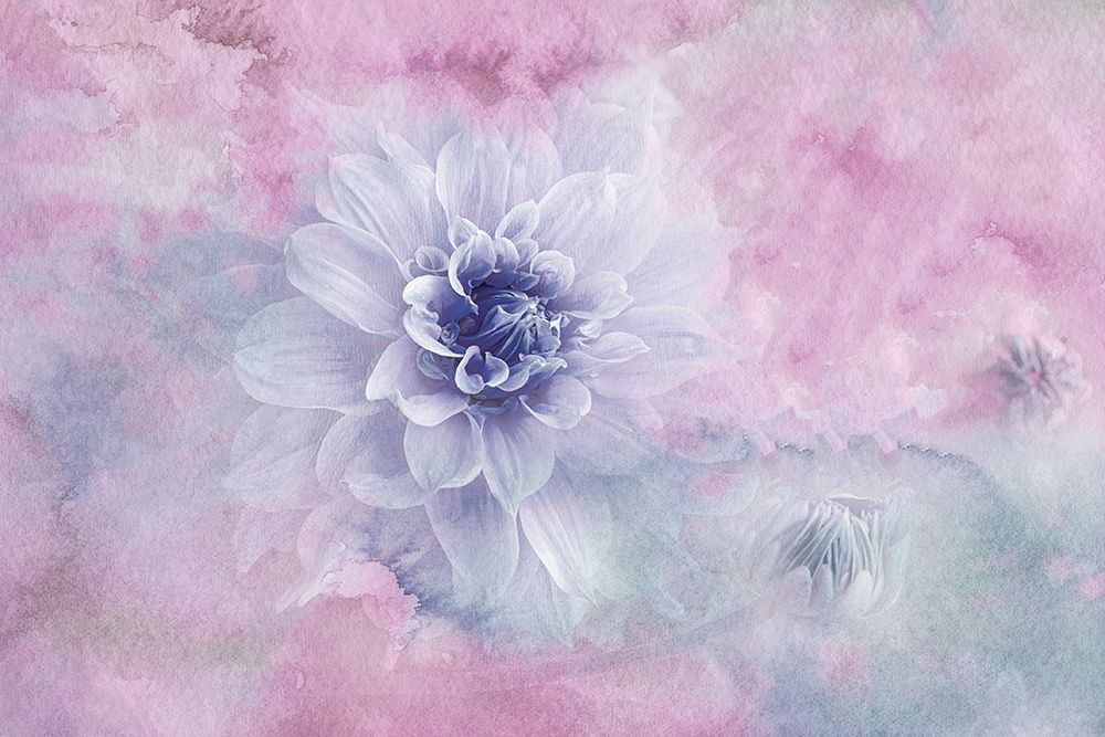 Hidden art print by Jacky Parker for $57.95 CAD