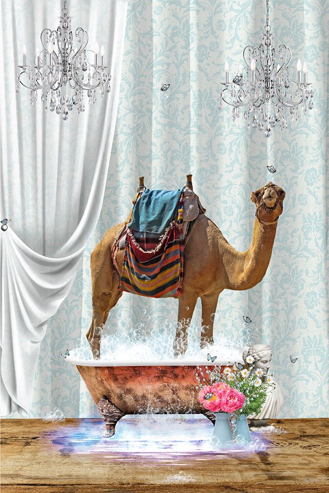 Camel A Bubbles art print by Sue Skellern for $57.95 CAD