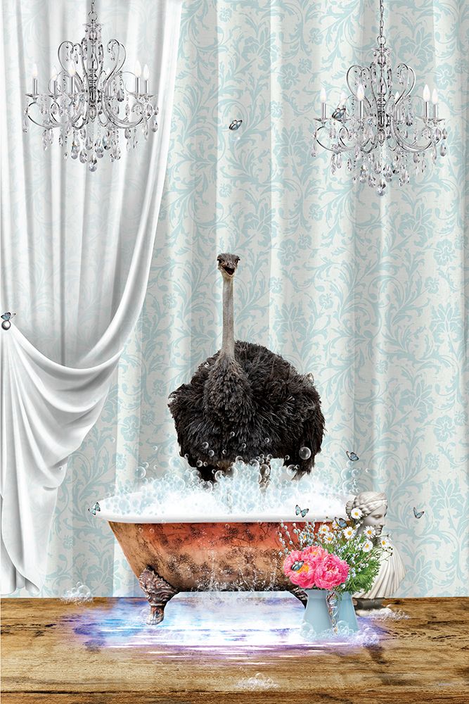Ostrich A Bubbles art print by Sue Skellern for $57.95 CAD