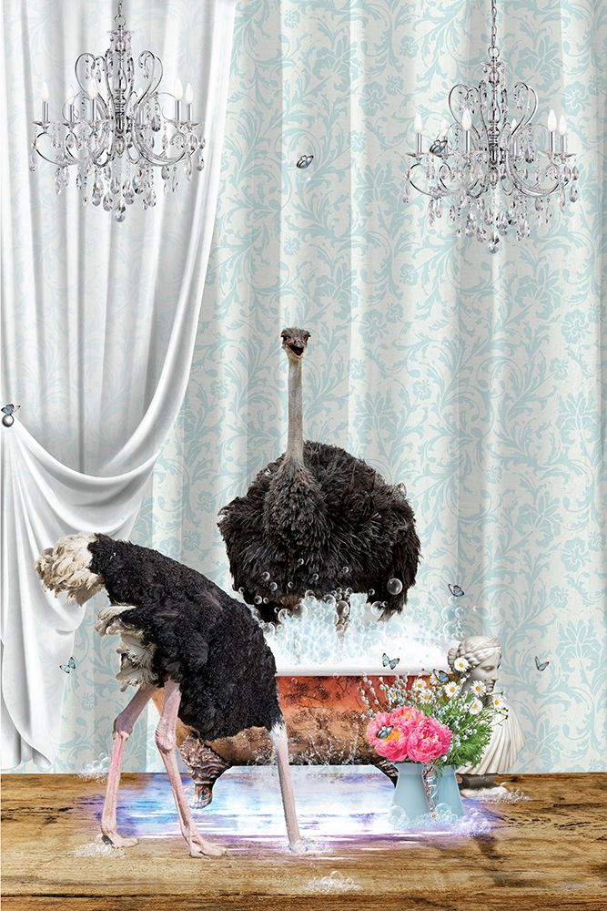 Ostriches A Bubbles art print by Sue Skellern for $57.95 CAD