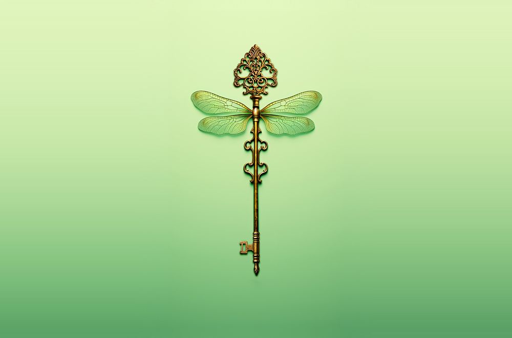 Key Dragonfly art print by Artem Pozdniakov for $57.95 CAD