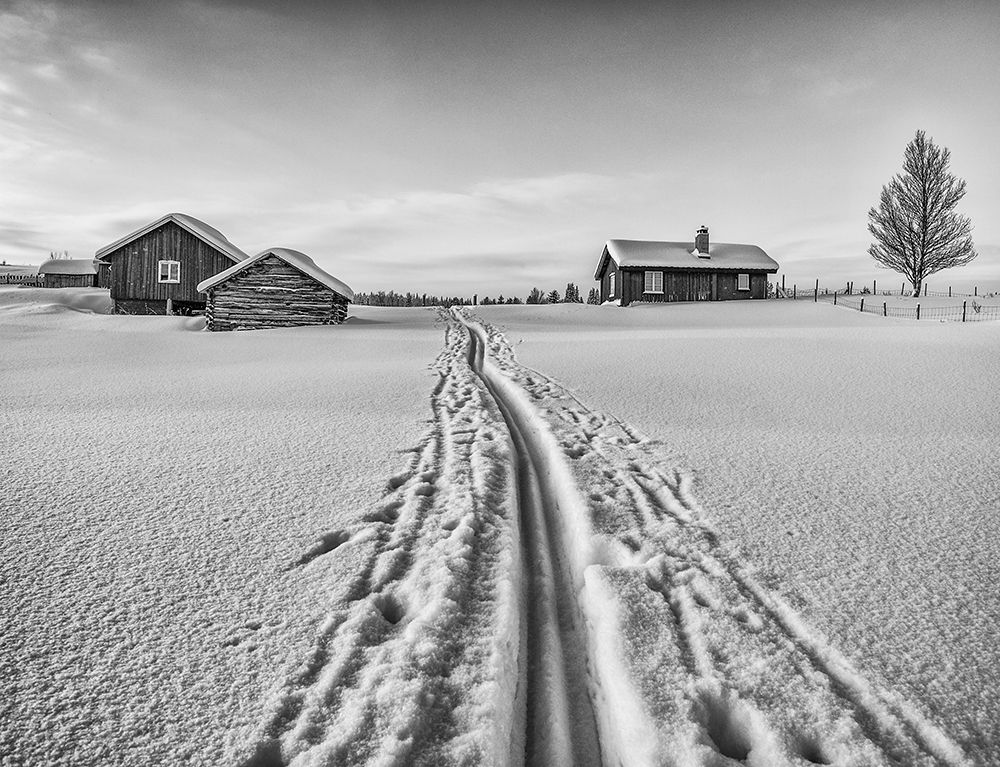 The Winter Is Here - Norway art print by Ole Walter Sundlo for $57.95 CAD