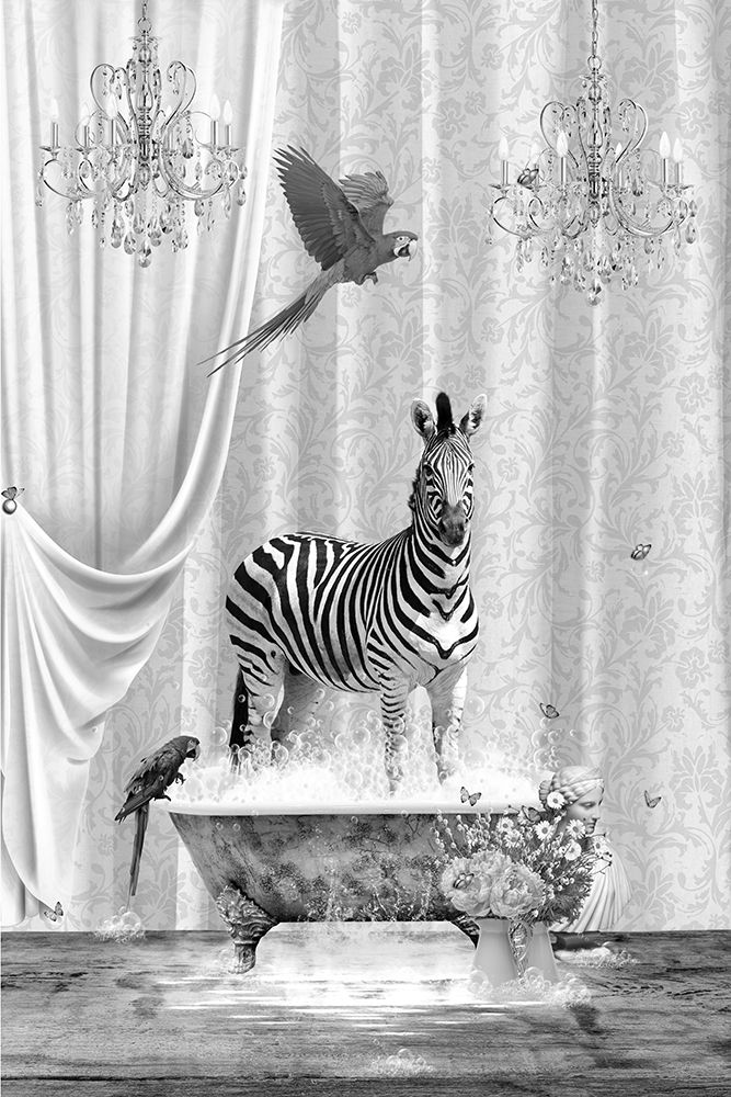Zebra Parrots A Bubbles Black A White art print by Sue Skellern for $57.95 CAD