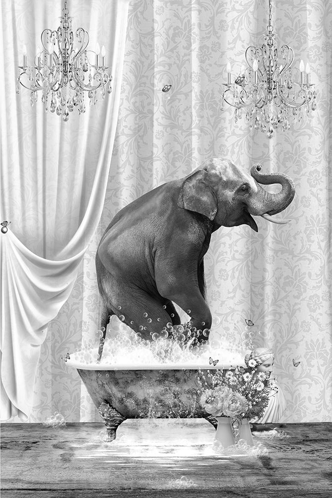 Elephant A Bubbles Black A White art print by Sue Skellern for $57.95 CAD