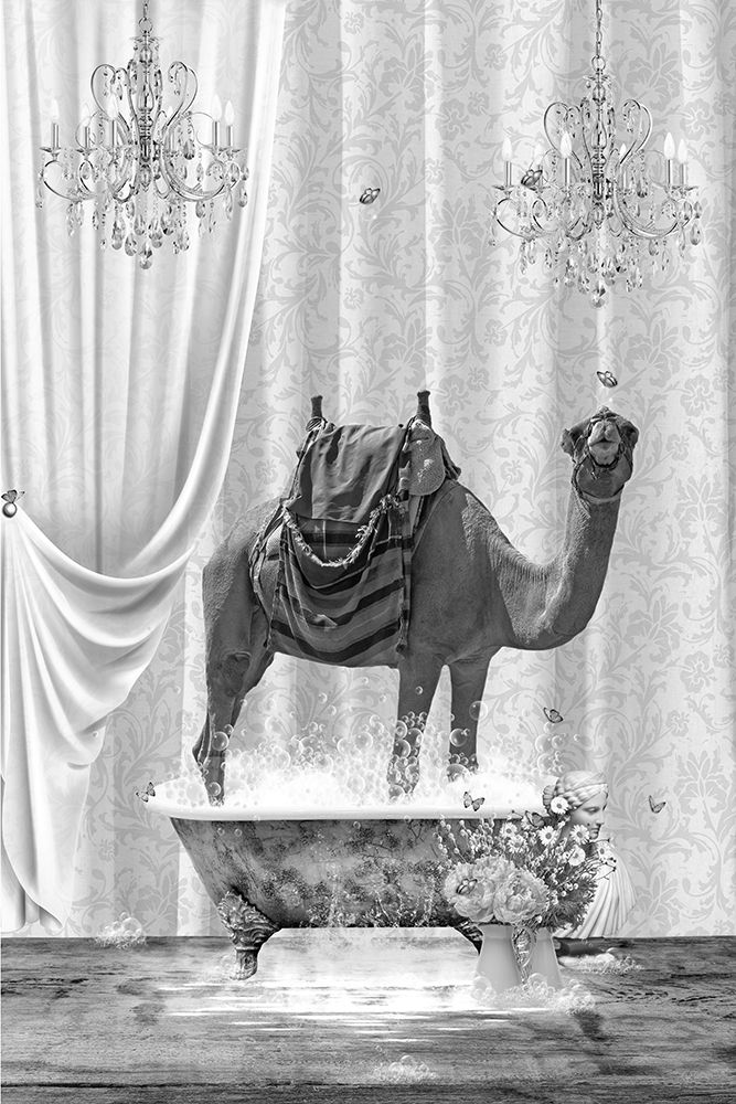 Camel A Bubbles Black A White art print by Sue Skellern for $57.95 CAD