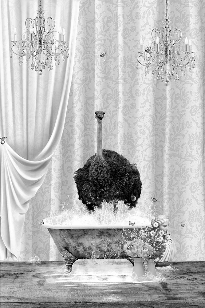 Ostrich A Bubbles Black A White art print by Sue Skellern for $57.95 CAD