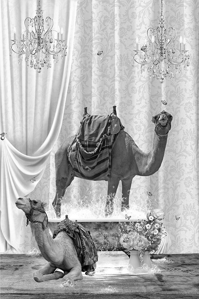 Camels A Bubbles Black A White art print by Sue Skellern for $57.95 CAD