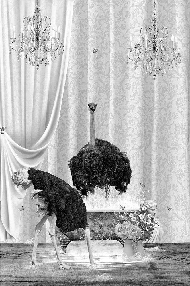 Ostriches A Bubbles Black A White art print by Sue Skellern for $57.95 CAD