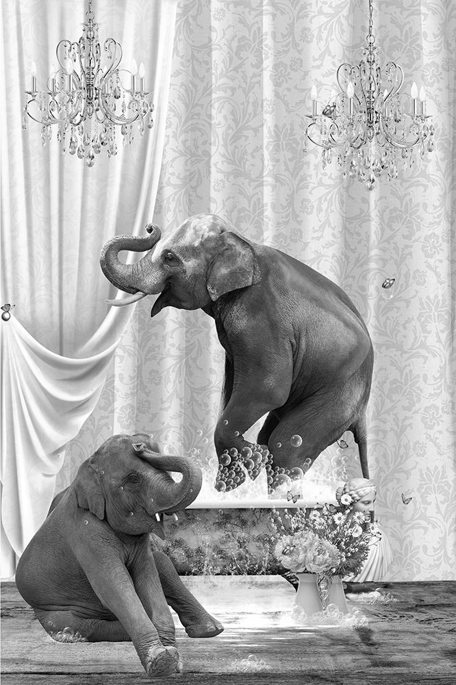 Elephants A Bubbles Black A White art print by Sue Skellern for $57.95 CAD