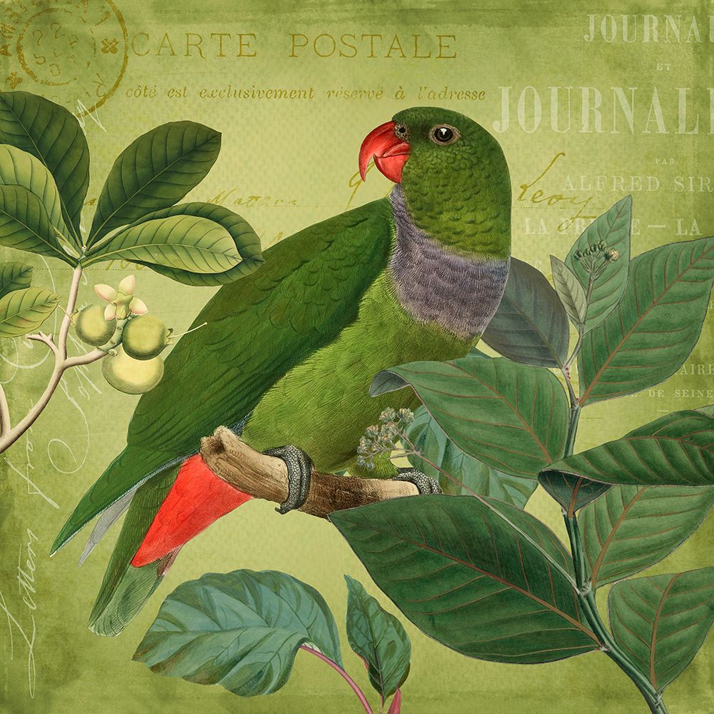 Bird Paradise Garden Ii art print by Andrea Haase for $57.95 CAD