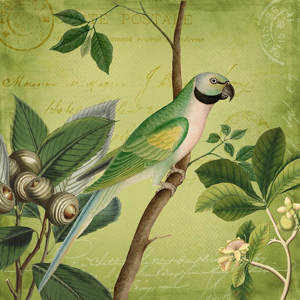 Bird Paradise Garden art print by Andrea Haase for $57.95 CAD