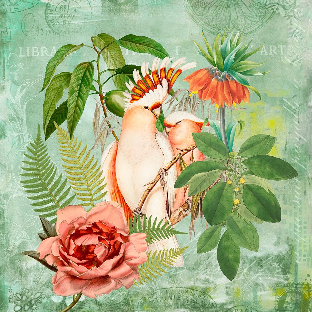 Happy Cockatoos art print by Andrea Haase for $57.95 CAD