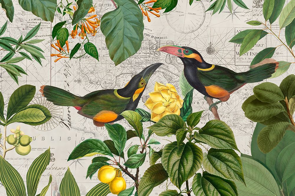 Parrots Nostalgic Journey 2 art print by Andrea Haase for $57.95 CAD