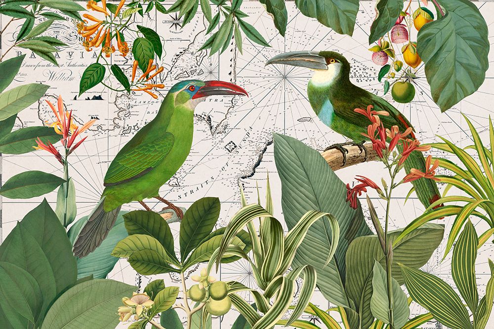 Parrots Nostalgic Journey 3 art print by Andrea Haase for $57.95 CAD