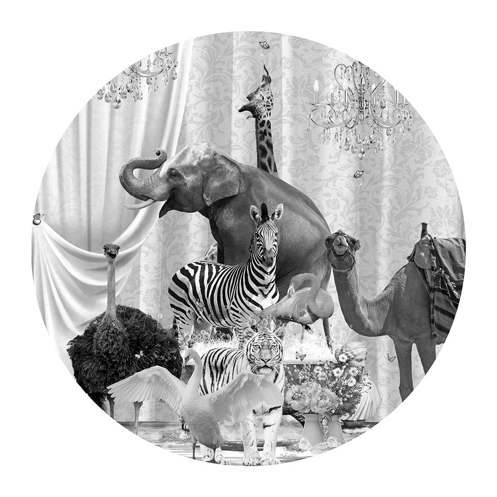 All Together A Bubbles Black A White art print by Sue Skellern for $57.95 CAD
