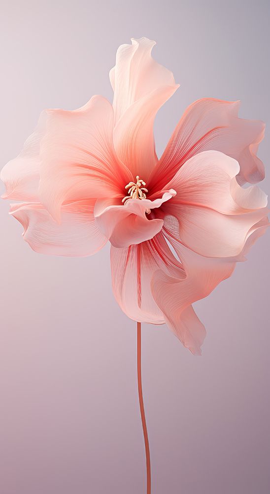 Delicate Flowers 4 art print by Bilge Paksoylu for $57.95 CAD