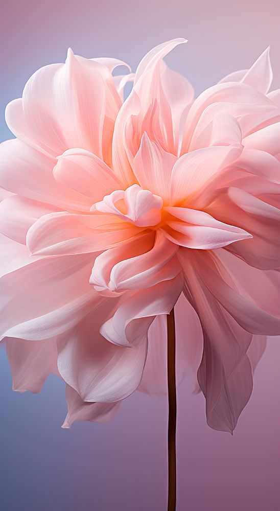 Delicate Flowers 7 art print by Bilge Paksoylu for $57.95 CAD