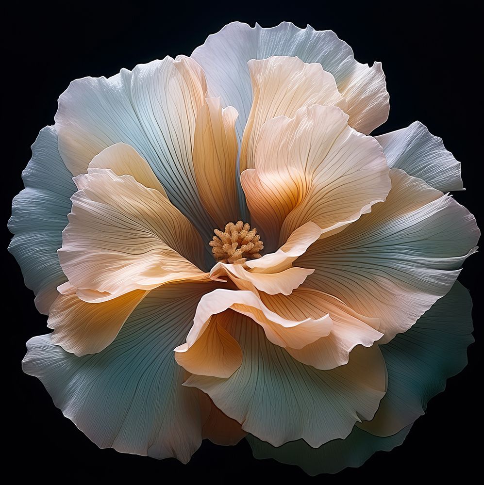 Delicate Flowers 12 art print by Bilge Paksoylu for $57.95 CAD