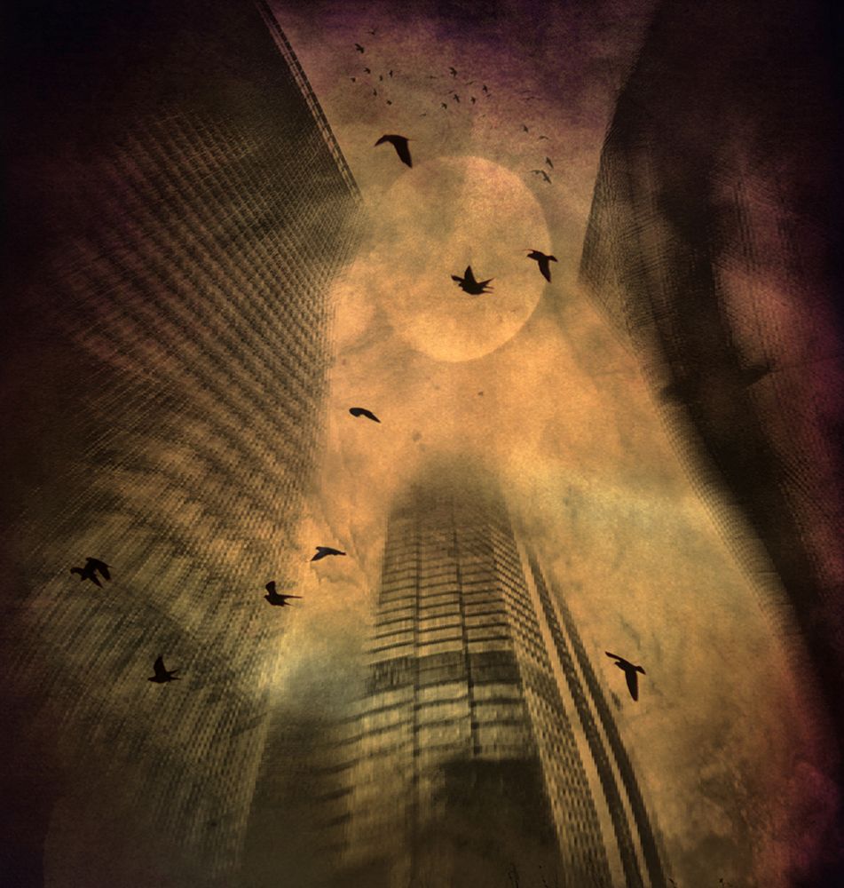 Autumn Thoughts ... art print by Robert Fabrowski for $57.95 CAD