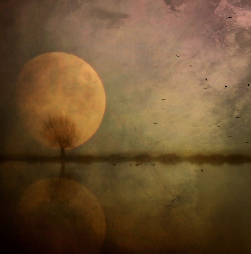 Autumn Thoughts ... art print by Robert Fabrowski for $57.95 CAD