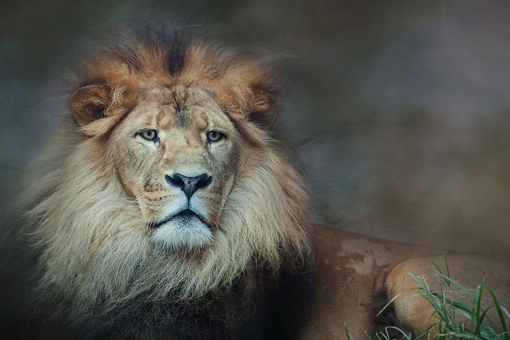 The Beauty Of The King art print by Linda D Lester for $57.95 CAD