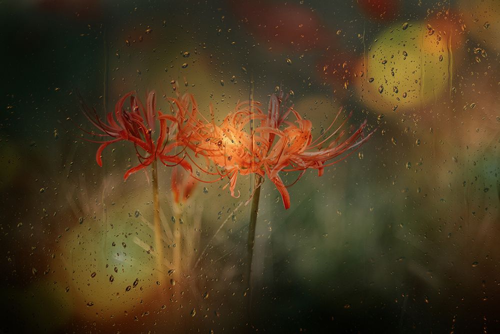 Autumn And Rain art print by Youngil Kim for $57.95 CAD