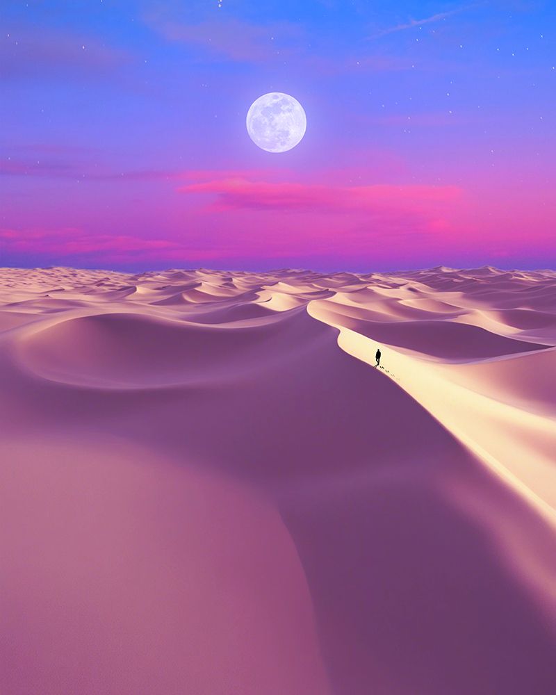 Lunar Solitude art print by Ritvik takkar for $57.95 CAD