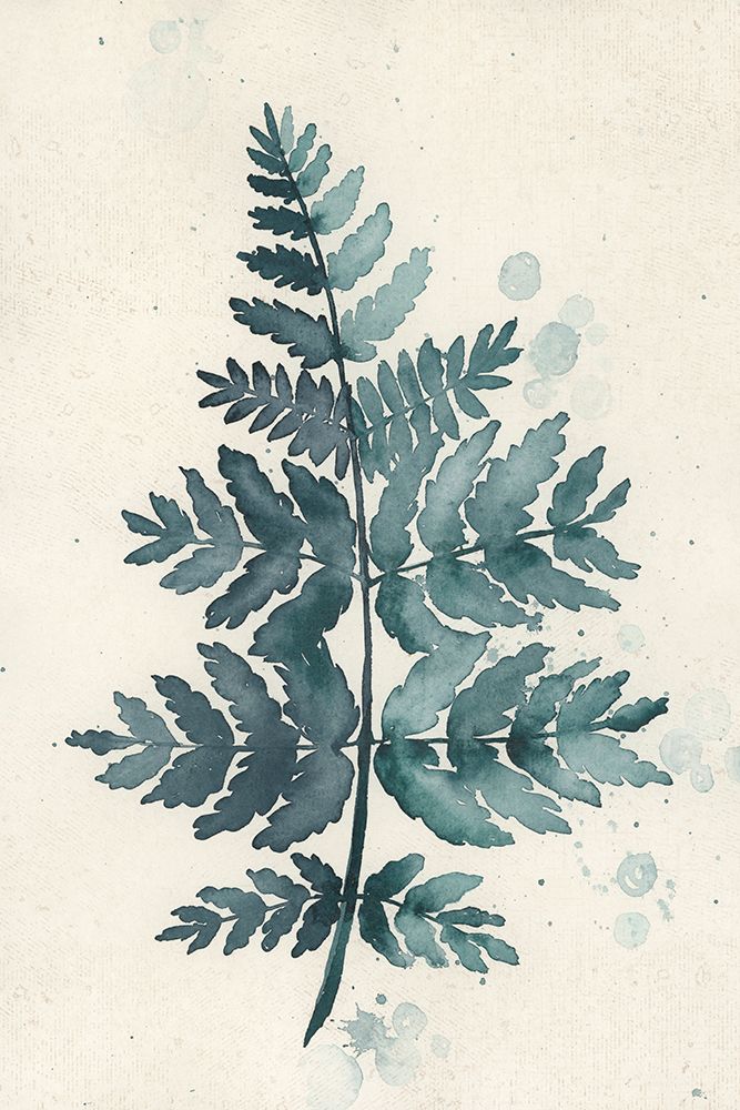 Teal Watercolor Fern 1 art print by Rosana Laiz Blursbyai for $57.95 CAD