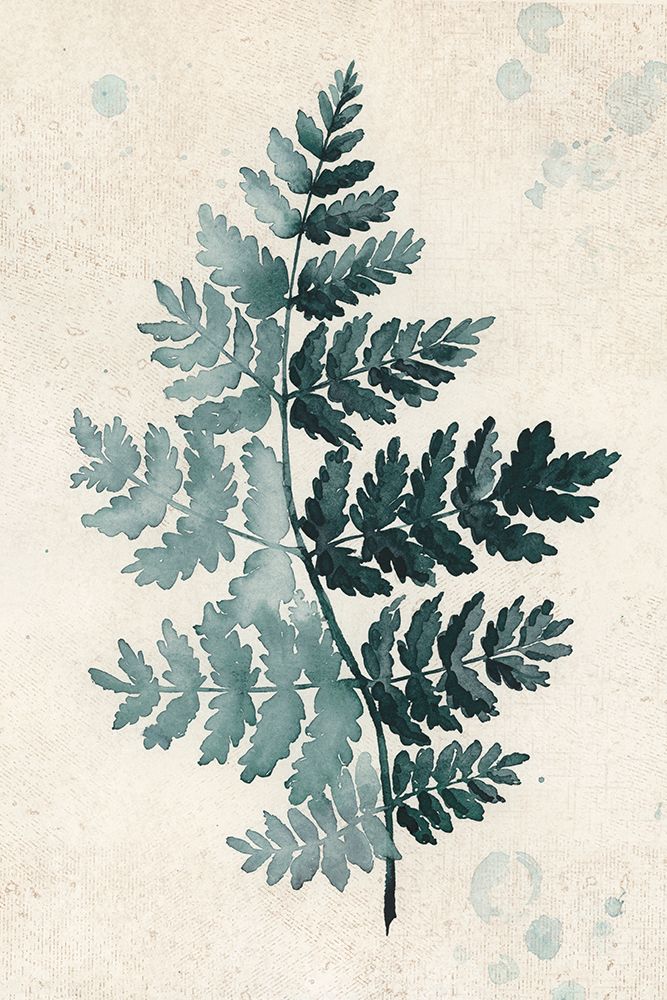 Teal Watercolor Fern 2 art print by Rosana Laiz Blursbyai for $57.95 CAD