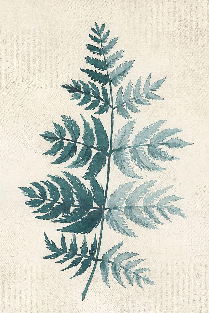 Teal Watercolor Fern 4 art print by Rosana Laiz Blursbyai for $57.95 CAD
