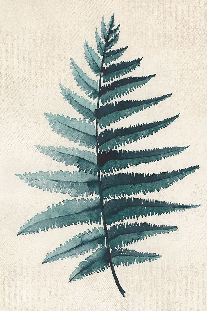 Teal Watercolor Fern 5 art print by Rosana Laiz Blursbyai for $57.95 CAD