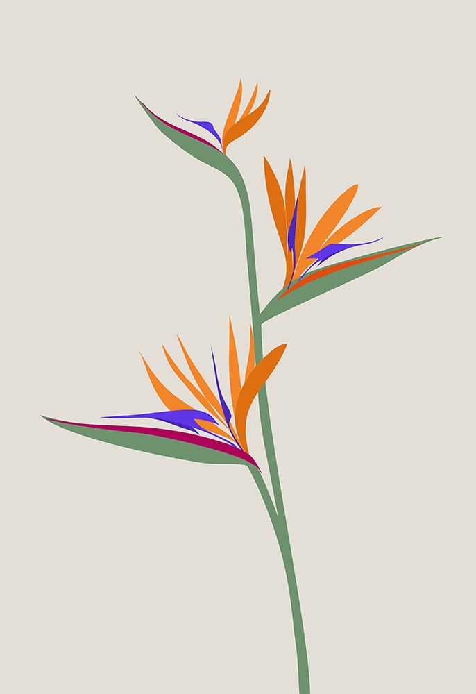 Bird Of Paradise art print by Rosana Laiz Blursbyai for $57.95 CAD