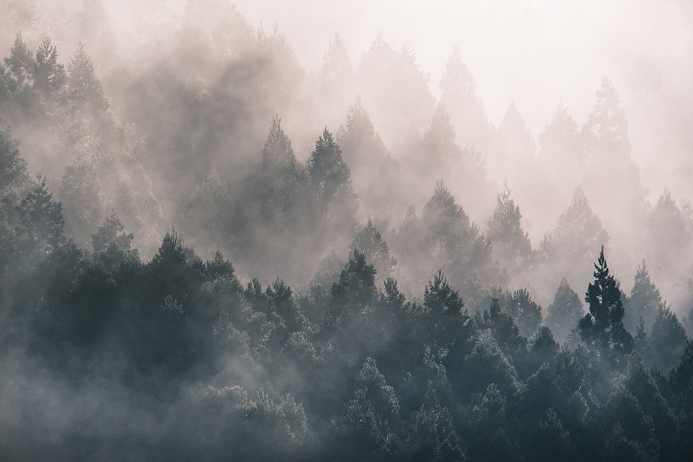 Fog art print by Hiromitsu Ichioka for $57.95 CAD