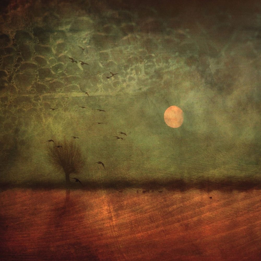 Autumn Thoughts... art print by Robert Fabrowski for $57.95 CAD