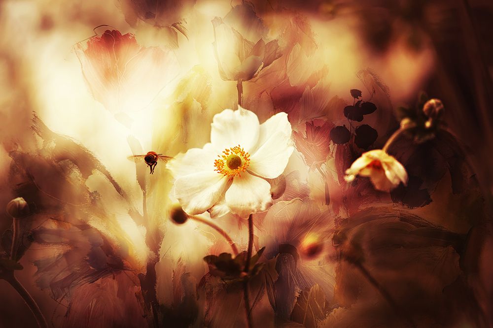 Summertime... art print by Ellen Van Deelen for $57.95 CAD
