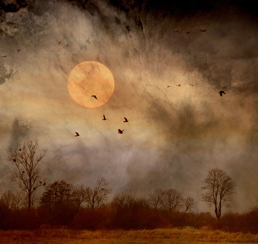 October Rust... art print by Robert Fabrowski for $57.95 CAD